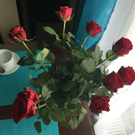 Old's Car & Vermietung *