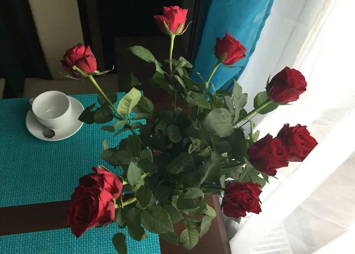 Old's Car & Vermietung *